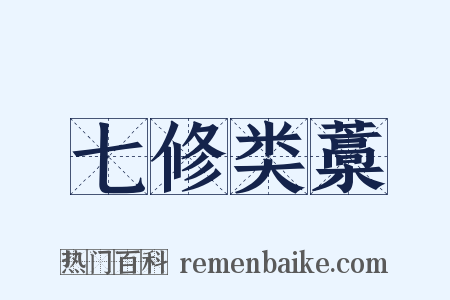 七修类藁是什么意思的图片